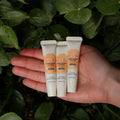 Sky and Sol Lip Jelly SPF 25 - Plumping Tallow Lip Balm (Pack of 3)